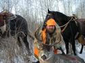 Bushman44