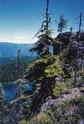 Summit