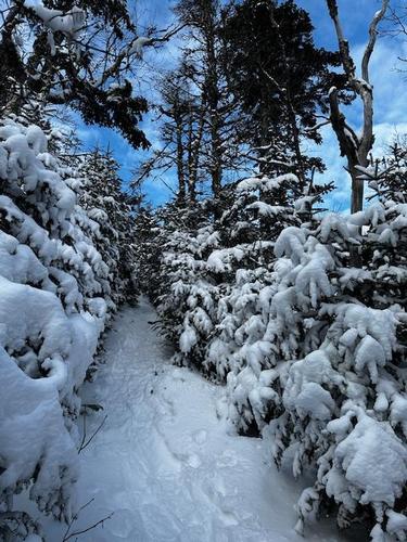 Mount Pierce hike (& potentially Mount Eisenhower) photo