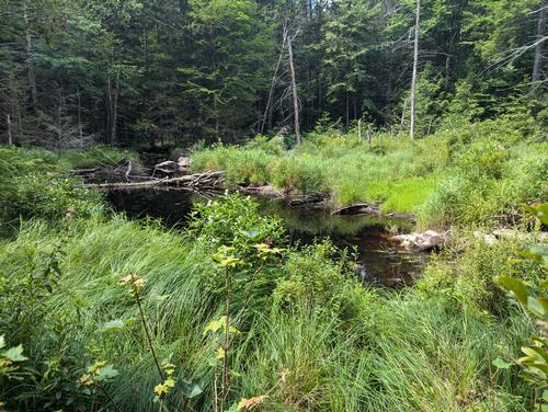 Purgatory Falls Hike photo