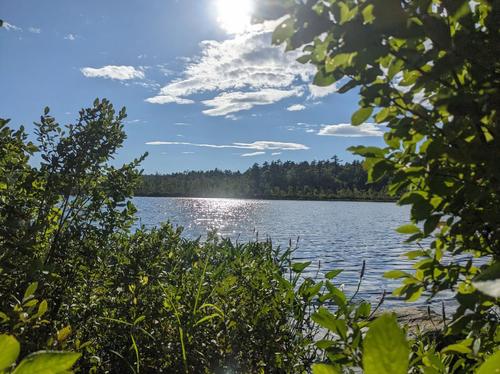 Lynx & Beaver Pond Loop Hike (Bear Brook State Park) photo