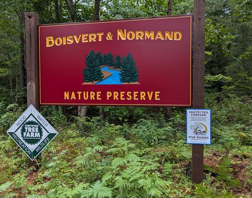 Guided Vernal Pool & Floodplain Exploration photo