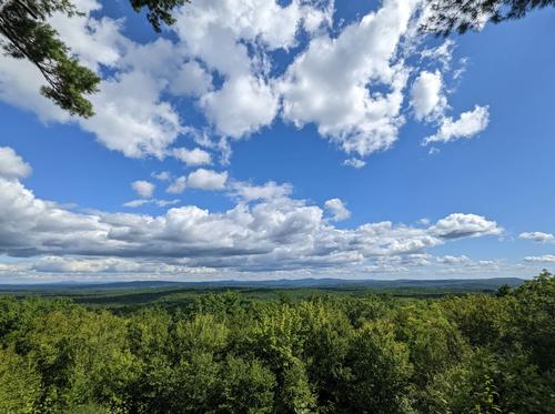 Nottingcook Forest Hike photo