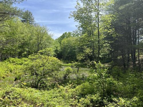 Horse Hill Nature Preserve Loop Hike photo