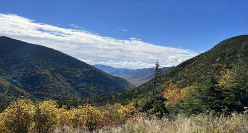 Galehead Mountain via Gale River Trail 9.7mi 2,506ft gain photo