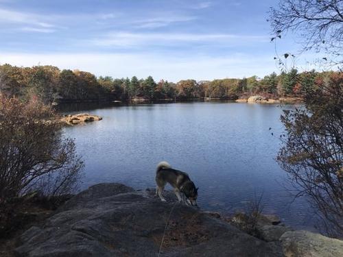 Easy 2.5 mile hike w/possible swim in Breakheart Reservation photo