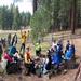 report photo