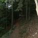 report photo