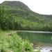 report photo