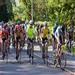 report photo
