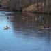 report photo