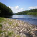 report photo