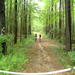 report photo
