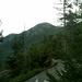report photo