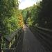 report photo