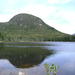 report photo