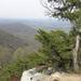report photo