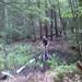 report photo