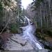 report photo