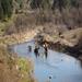 report photo