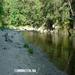 report photo
