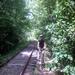 report photo