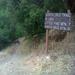 report photo