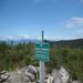 report photo