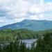 report photo