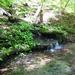 report photo
