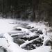 report photo