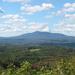 report photo