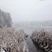 report photo
