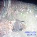 report photo