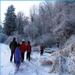 report photo