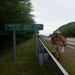 report photo