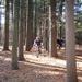 report photo