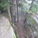 report photo
