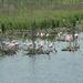 report photo