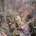 report photo