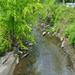 report photo