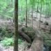report photo