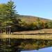 report photo
