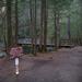 report photo