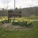 report photo