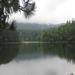 report photo