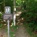 report photo