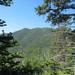 report photo