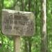 report photo