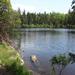 report photo